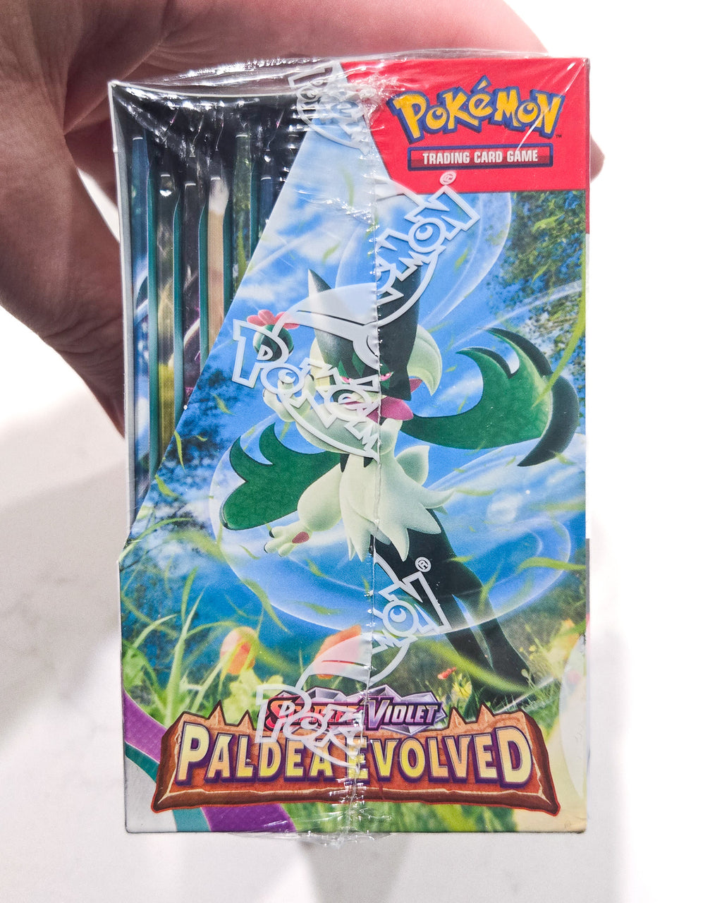 Pokémon Paldea Evolved Booster Box sealed English SV02