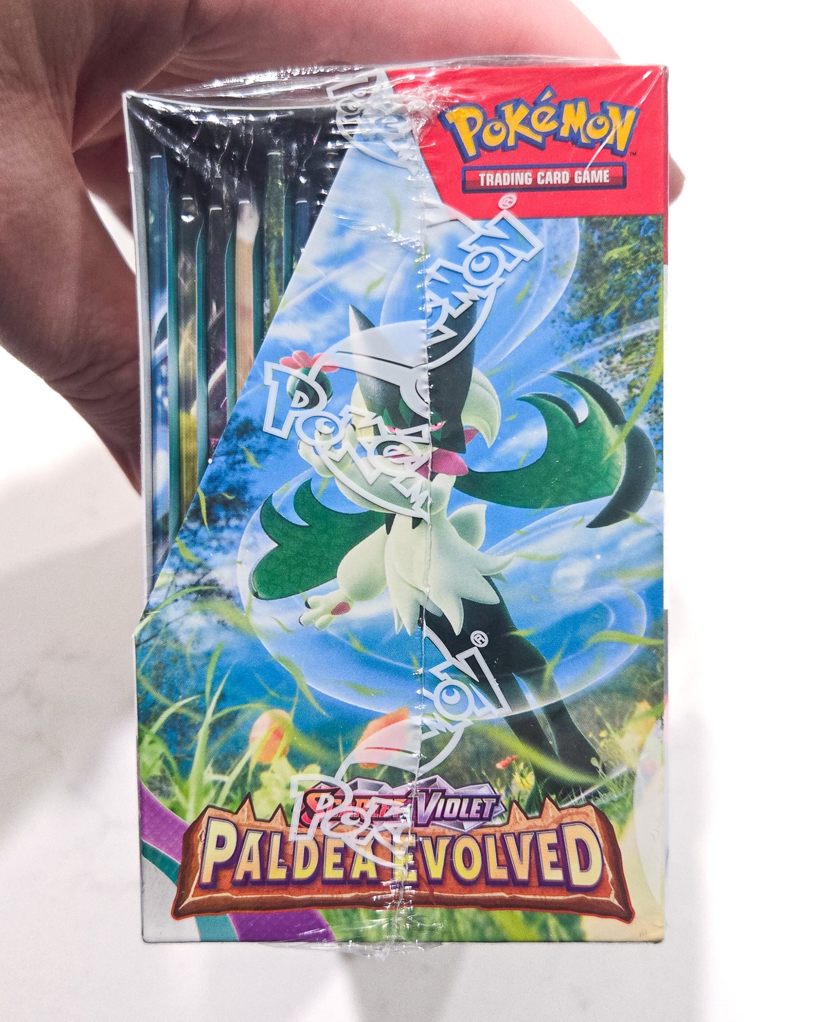Pokémon Paldea Evolved Booster Box sealed English SV02